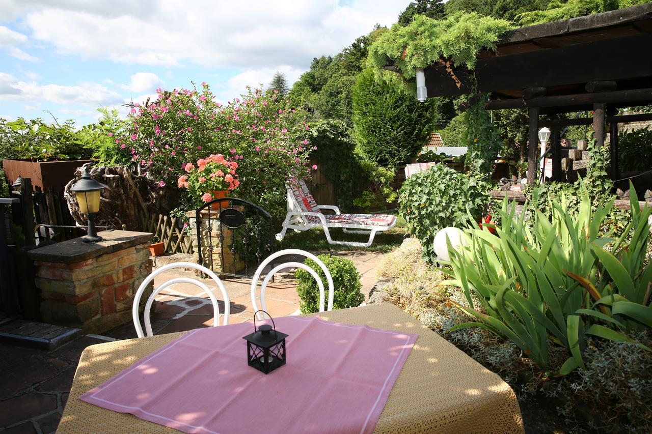 Pension Weinberg Mit Landhaus Nizza Gleisweiler Zewnętrze zdjęcie