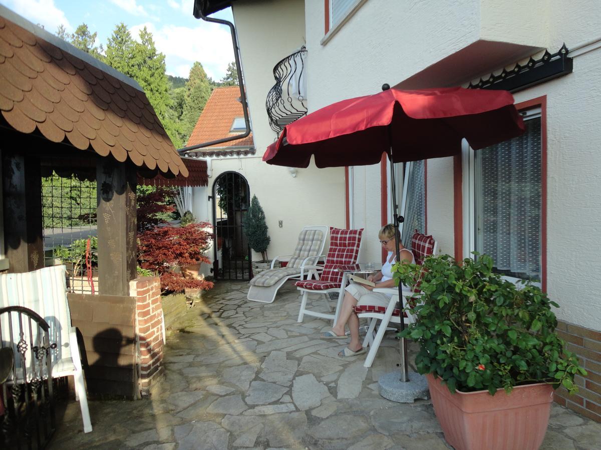 Pension Weinberg Mit Landhaus Nizza Gleisweiler Zewnętrze zdjęcie